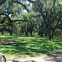 Avery Island, LA