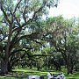 Avery Island, LA