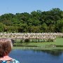 Egret Colony