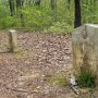 Old Natchez Trace