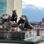 Razorback Stadium Fayetteville, AR