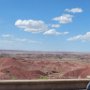 Petrified Forest, AZ