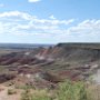 Petrified Forest, AZ