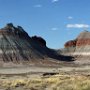 Petrified Forest, AZ