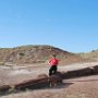 Petrified Forest, AZ