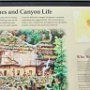 Walnut Canyon