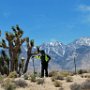 Joshua Tree