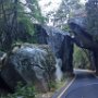 Yosemite National Park, CA