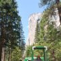 Yosemite National Park, CA
