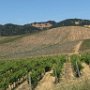 Napa Valley
