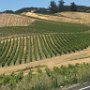 Napa Valley