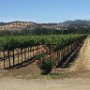 Napa Valley