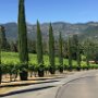 Napa Valley