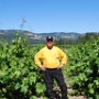 Napa Valley