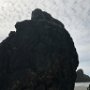 Oregon Coast Hwy 101