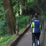 Multnomah Falls