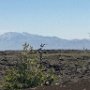 Craters of the Moon National Park