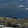 Rocky Mountain National Park