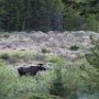 Rocky Mountain National Park