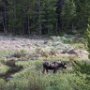 Rocky Mountain National Park