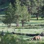 Rocky Mountain National Park