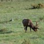 Rocky Mountain National Park