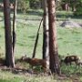 Rocky Mountain National Park