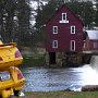 Stars Mill Georgia