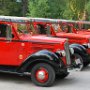 Red Bus Tour of Going to the Sun Road!