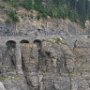 Red Bus Tour of Going to the Sun Road!