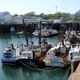 The Warf in Digby during low tide