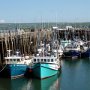 The Warf in Digby during low tide