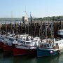 The Warf in Digby during low tide