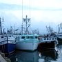 The Warf in Digby during high tide