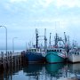 The Warf in Digby during high tide