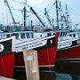 The Warf in Digby during high tide