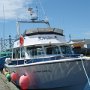 Boat we take for whale watching tour