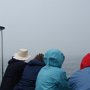 Listening in the fog for whales