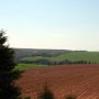 Farmland in PEI (Potatoes are their main crop)