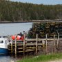 Unloading lobster traps at the end of lobster season