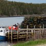 Unloading lobster traps at the end of lobster season